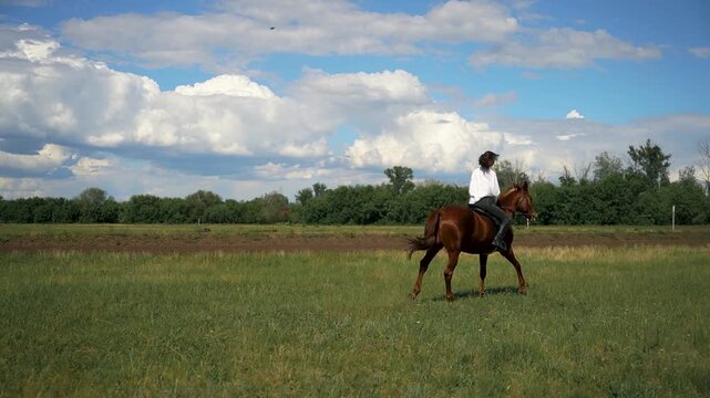 Woman riding a brown horse in a grassy field.