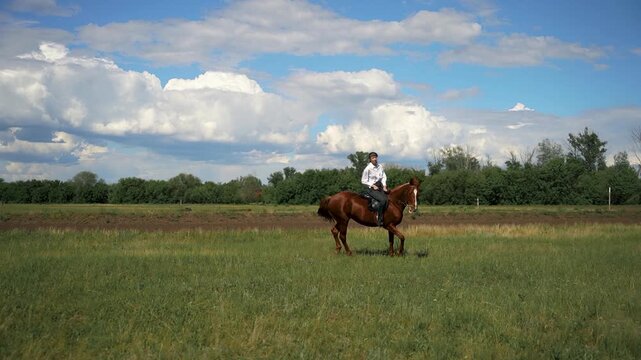 Woman riding a brown horse in a grassy field.