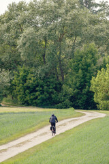 Fototapeta premium Man riding a bicycle on a path in the forest