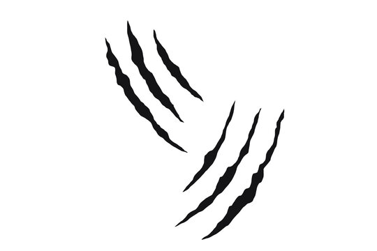 Claw scratch marks vector set with torn slash effect and aggressive grunge texture. Sharp animal attack streaks for creative designs. Isolated claw damage elements on background.