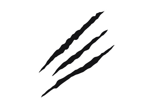 Claw scratch slash mark with torn grunge texture and sharp predator damage effect. Aggressive animal claw streak for creative projects. Isolated ripped slash element for design.