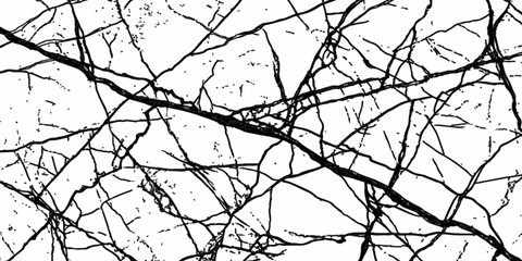 Obraz premium Elegant White Marble Background with Dense Black Veining Luxury Stone Surface Texture.
