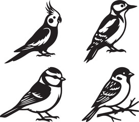 Set of four different birds silhouettes © Ajoy