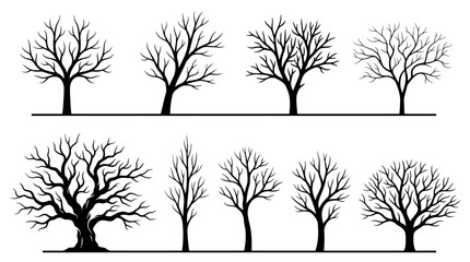 Obraz premium Collection of black leafless winter tree silhouettes isolated on white background