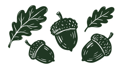 Hand Drawn Illustration of Forest Acorns and Oak Leaves for Seasonal Decor © matahari
