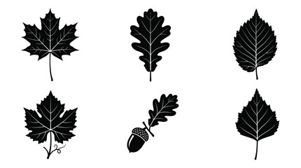 Set of Detailed Black Leaf Silhouettes and Botanical Shapes for Nature Design © matahari
