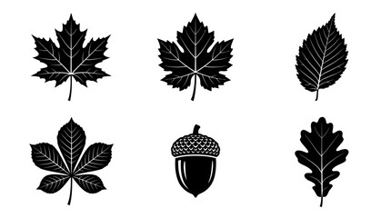 Set of diverse fall leaves and an acorn silhouette, perfect for autumn designs © matahari