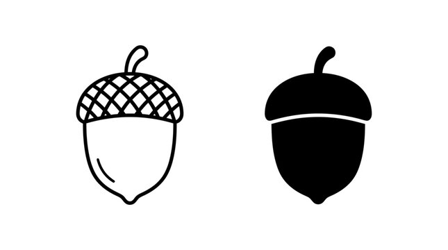 Acorns Compared in Line and Solid Styles