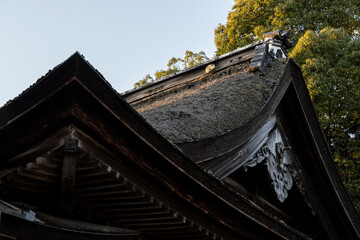 茅葺き屋根の神社を仰角から見た構図 千木と装飾細部 © Buppy