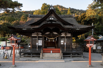 Fototapeta premium 拝殿正面全景 七五三の掲示と灯籠のある神社 茅葺き屋根