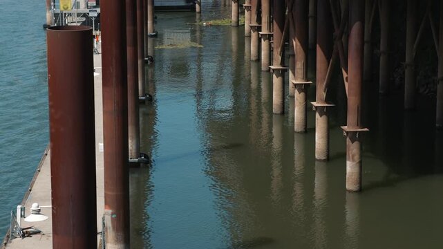 Rows of metal pilings reflect in calm waterfront water creating a geometric industrial pattern along the urban riverfront shoreline
