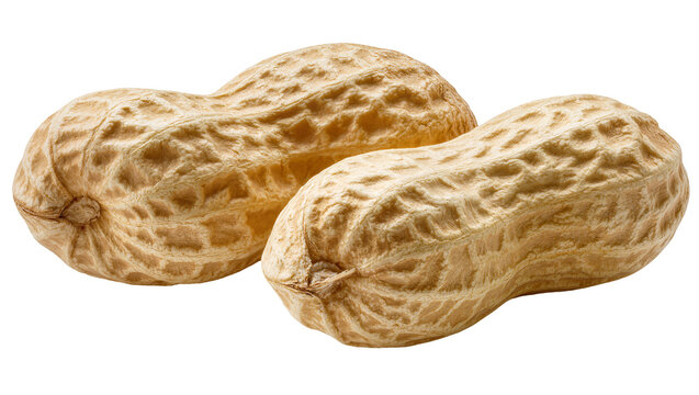Two whole peanuts in shell textured, light brown