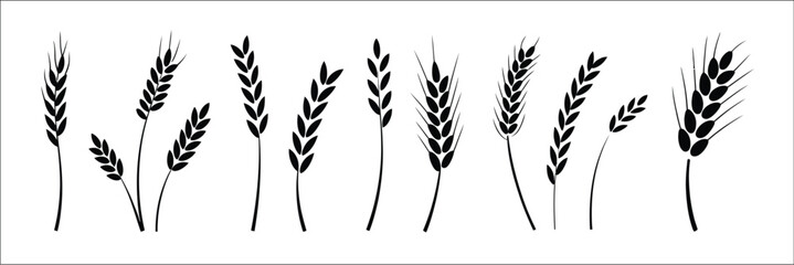 Wheat Icon Collection Illustration, Grey Cereals Icon Set Featuring Rice, Wheat, Corn, Oats, Farm Wheat Ears, Gluten Free Symbols, Bakery Logos, Grain Spikes, and Bread Ingredients Isolated on White B © Vector Creator