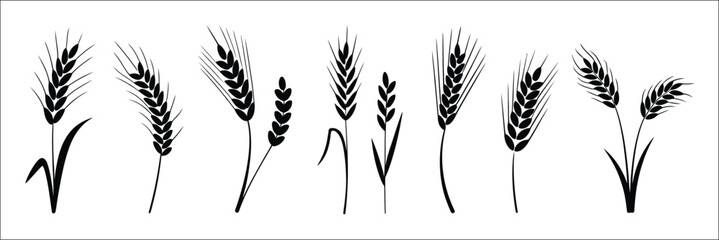 Wheat Icon Collection Illustration, Grey Cereals Icon Set Featuring Rice, Wheat, Corn, Oats, Farm Wheat Ears, Gluten Free Symbols, Bakery Logos, Grain Spikes, and Bread Ingredients Isolated on White B © Vector Creator