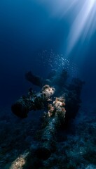 Fototapeta premium Sunlit mystery of a lost naval gun reclaimed by ocean life evokes history’s silent depths