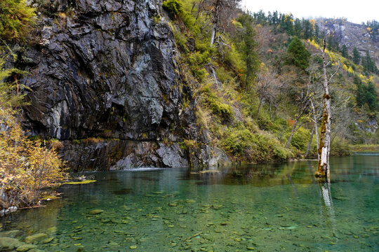 Bipenggou Valley (Bipenggou National Park) is a natural reserve located in northern Sichuan, China