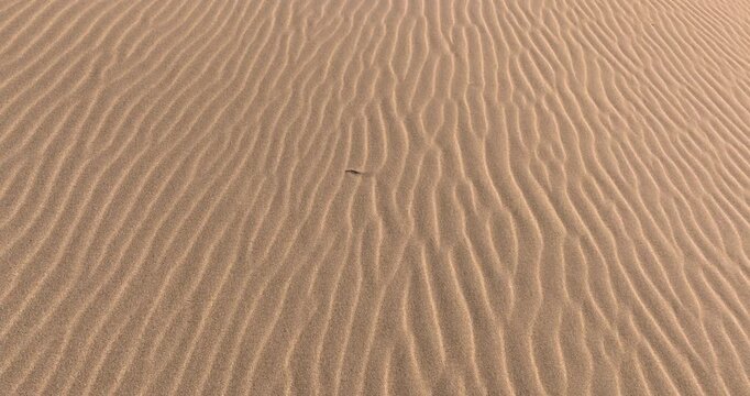 Aerial drone view flying low over rippled desert sand dunes with wavy patterns and warm golden texture