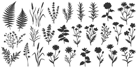 Fototapeta premium Set of black silhouettes of wild flowers and forest plants for nature design and botanical graphic element