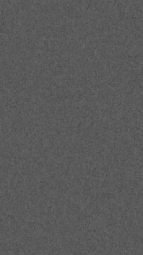 Vertical Film Grain Overlay for Vintage and Retro Cinematic Video Effect and Editing
