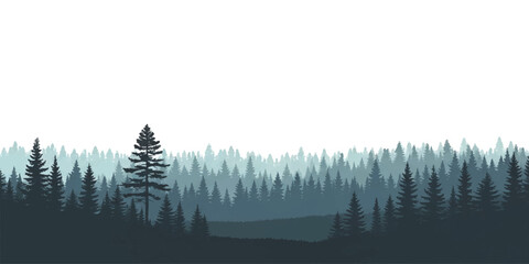 Dense pine forest landscape with layers of evergreen trees in a misty morning fog for a natural outdoor view © GraphixEra