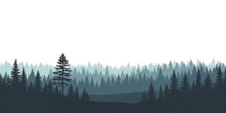 Dense pine forest landscape with layers of evergreen trees in a misty morning fog for a natural outdoor view