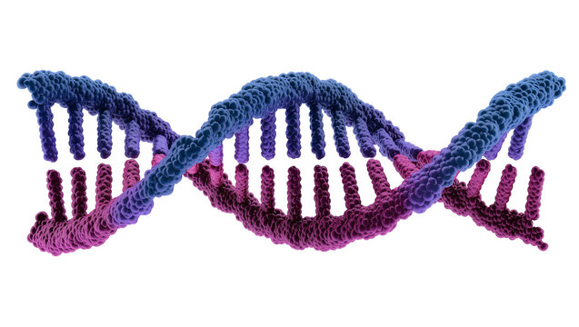 3D DNA double helix structure with blue and purple gradient