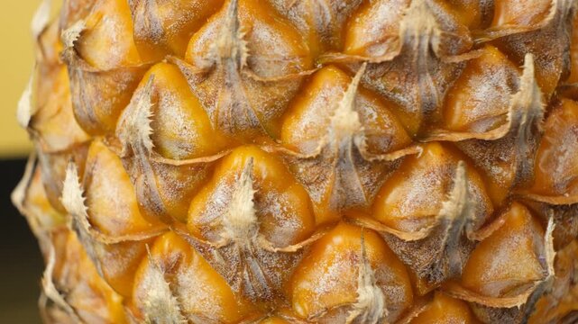 Macro texture of ripe pineapple rind rotating in close up