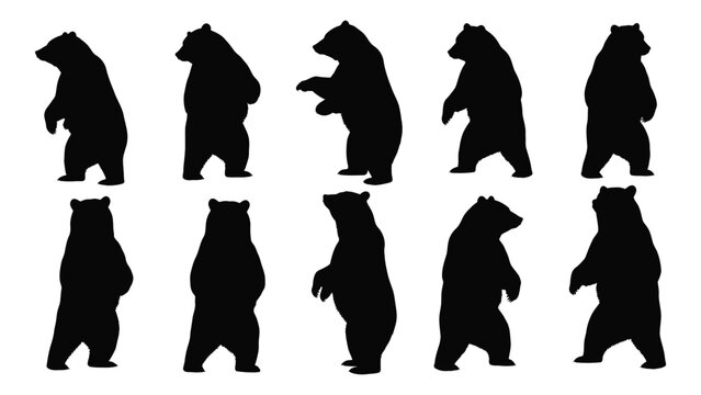 Collection Of Black Bear Silhouettes In Various Poses Against A White Background Silhouette bears bruin ursus americanus wildlife animal mammal