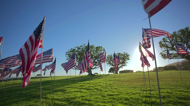 USA Flag September 11 memorial tribute featuring rows of American flags waving on metal poles across a lush green field with oak trees and bright sunlight creating long shadows.