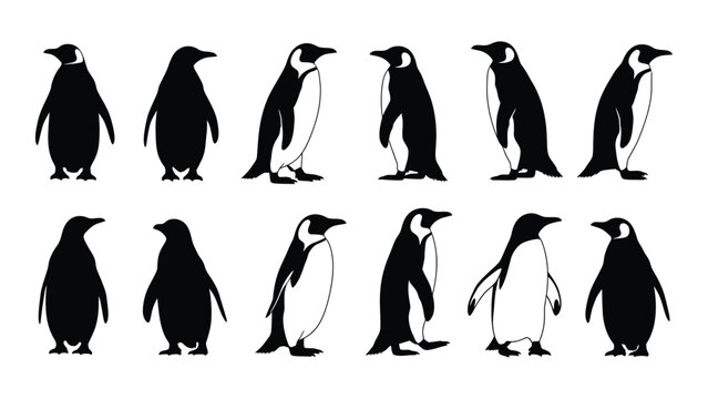 Collection Of Penguin Silhouettes In Various Poses Against A White Background Silhouette penguins antarctic antarctica wildlife avian bird birds animal