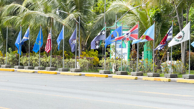Row of National and State Flags Along a Road in Palau