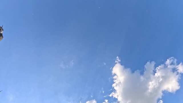 A large flock of pigeons flies freely across an open blue sky with white clouds in daylight. Birds spread from left to right, flapping wings, soaring and gliding in loose formation outdoors.