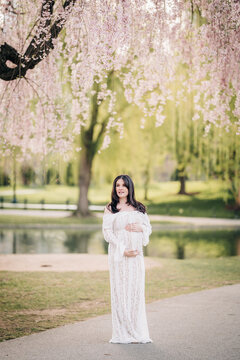 Pregnant woman embracing baby bump under cherry blossoms