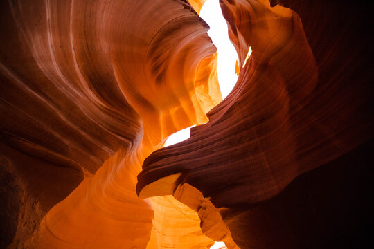 The Lion, Lower Antelope Canyon, Page, Arizona