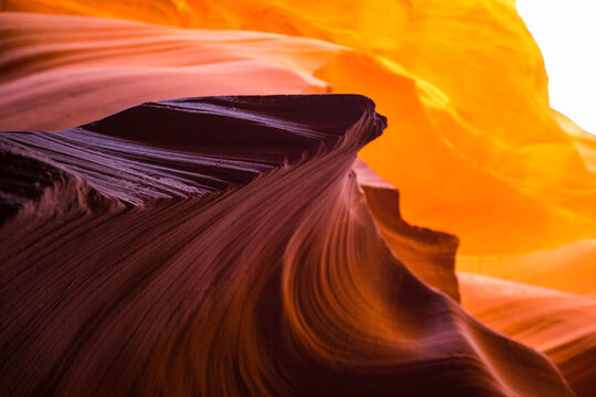 Antelope Canyon, abstract detail caused by water and wind erosion