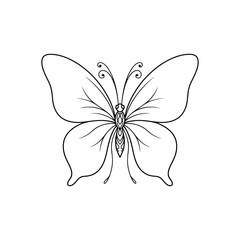 Fototapeta premium Elegant butterfly line art on white background with detailed wings