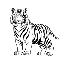 Fototapeta premium Majestic Tiger Illustration - Black and White Line Art