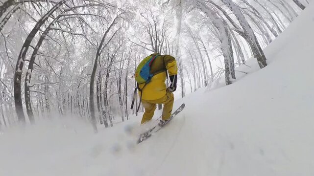 Skier POV through birch forest glades Japan Hokkaido style powder skiing backcountry