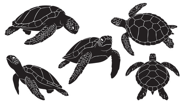 Sea turtle silhouette collection, set of 5 black marine turtle vectors, aquatic reptile icons for ocean conservation and beach decor