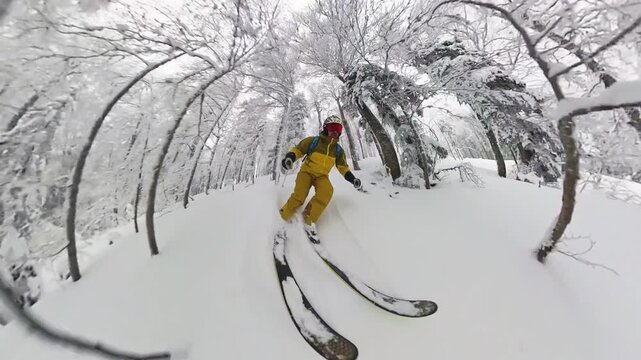 Skier descending through frosted birch forest in Nordic mountain backcountry skiing POV
