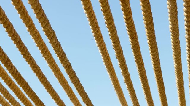 Thick, rustic ropes stretch diagonally overhead to filter the bright sunlight. Their warm texture creates a peaceful, carefree mood beneath a serene and open blue sky.