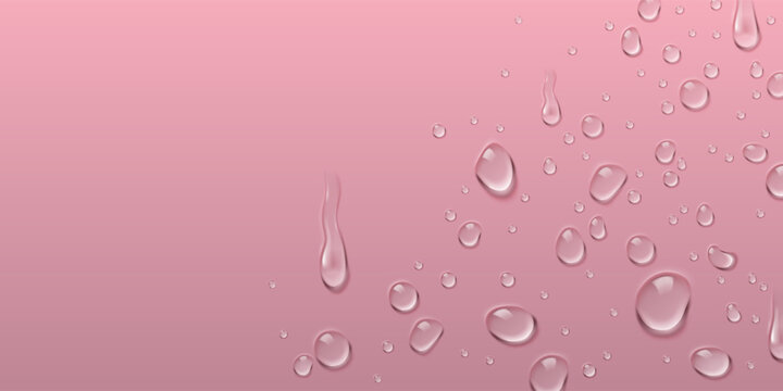 Realistic water droplets on pink surface with fresh dew texture, spray effect, 3d vector background. Transparent liquid beads with natural moisture effect, clear rain splash design, frame template