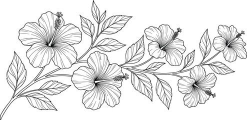 Detailed black and white line drawing of hibiscus flowers and leaves, elegant botanical illustration symbolizing tropical beauty and natural harmony © IconicCreations