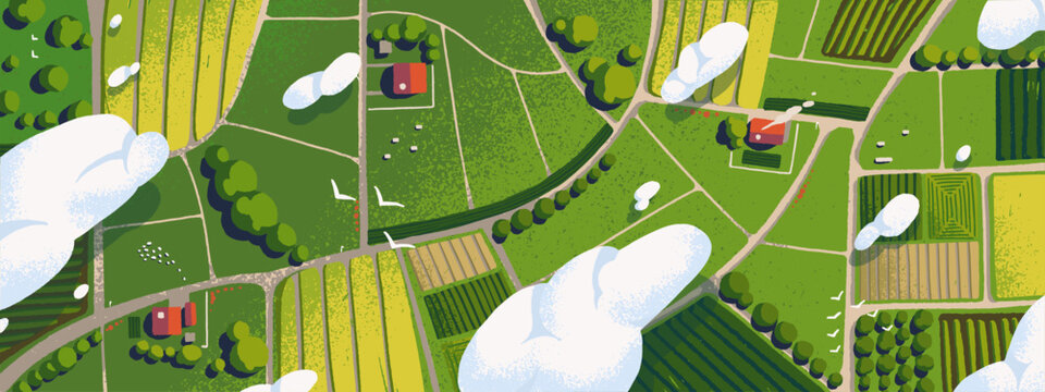 Farm land with fields and houses above. Aerial view of farmland. Top panorama of agricultural landscape with meadows, plantations, roads and villages. Map of ranch. Flat vector illustration