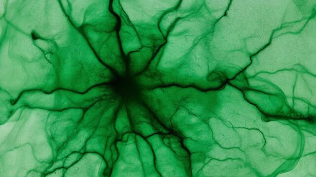 Green Ink Spreading on Rough Paper Creating Fractal Veins Animation