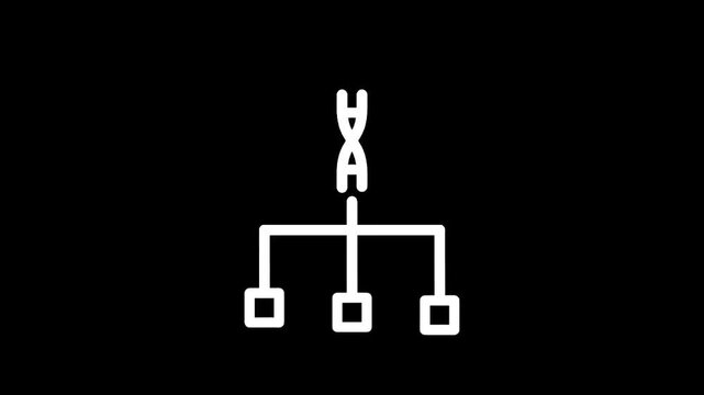 Abstract representation of DNA branching into multiple outcomes or pathways