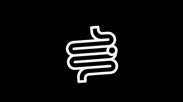 Simple white icon of intestines on a black background, representing digestive health