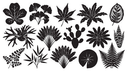 Obraz premium Botanical leaf silhouettes collection, 15 black tropical plant icons, hand drawn floral elements for nature branding and pattern design