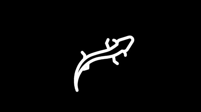 Simple white line art drawing of a lizard on a black background