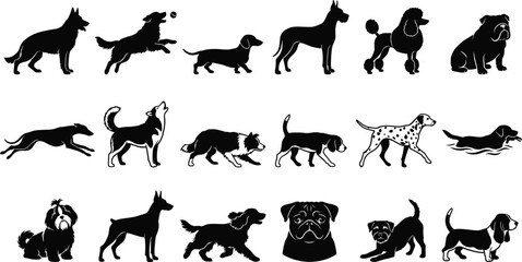 Vector silhouettes set of different dog breeds in various poses including running jumping sitting and howling for pet care and animal design concepts © Ananya